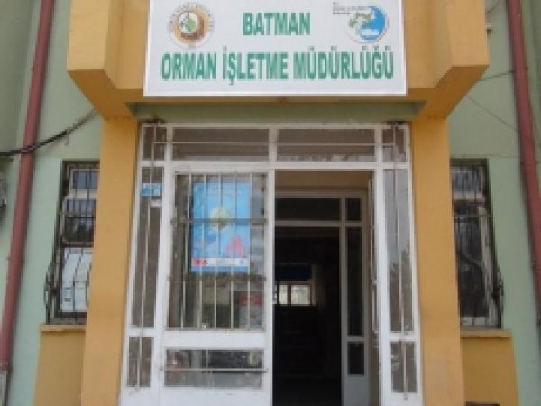 Batman Orman Kenti Olma Yolunda 