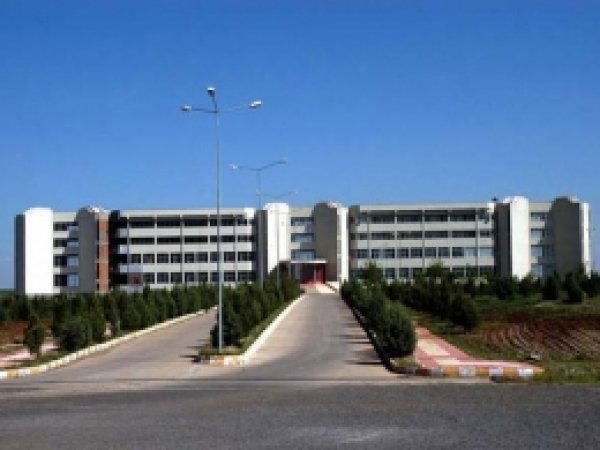 Dicle Üniversitesi'nden 'Ağaç Katliamı' Haberlerine Yalanlama 