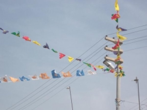 Ceylanpınarlı Seçmenin Seçim Tepkisi 