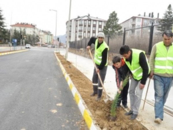 Seydişehir'de Ağaçlandırma Çalışmaları  