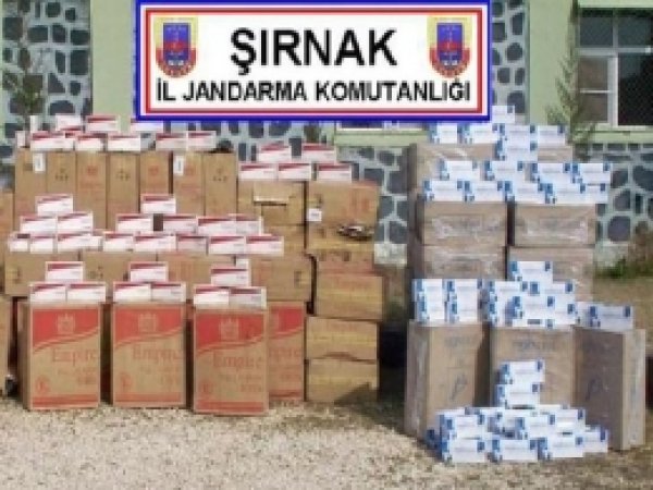 Şırnak'ta 136 Bin 774 Karton Sigara Ele Geçirildi 