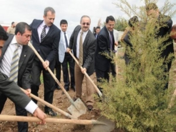 Dicle'de Ağaç Dikimleri Devam Ediyor 