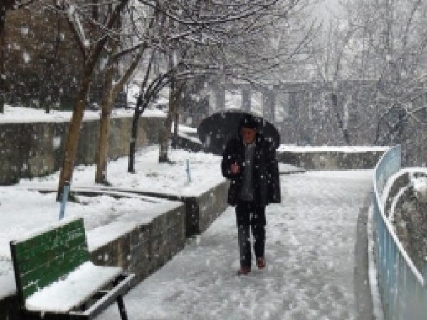 Bitlis Şiddetli Kar Yağışının Etkisine Girdi 
