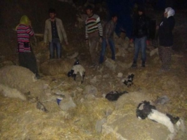 Mazıdağı'nın Yağmurlu Köyünde Heyelan 