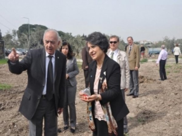 Ege Üniversitesi'nde Zeytin Fidanı Dikildi 