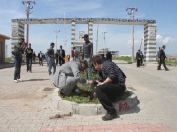 Cizre Organize Sanayi Bölgesi Yeşillendiriliyor 