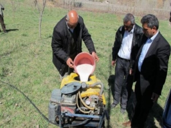 Meyve Ağaçlarına Kireçleme Uygulaması  