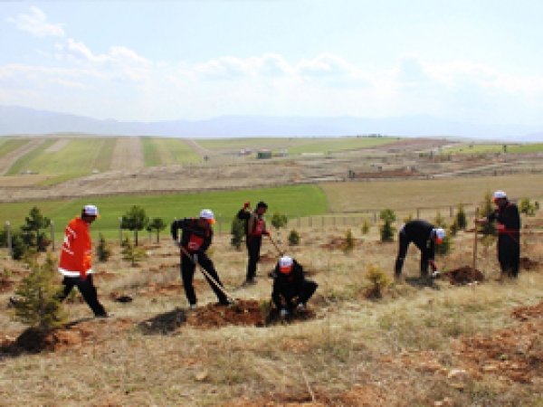 Kovancılar'da Ağaçlandırma Çalışmaları