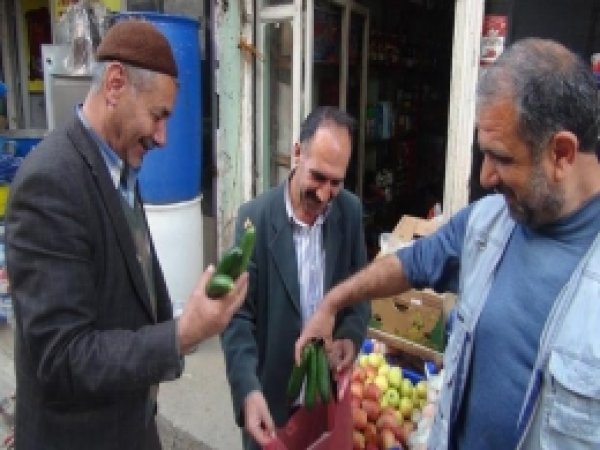 Çermik'in Yerli Salatalığı Tezgahlardaki Yerini Aldı 