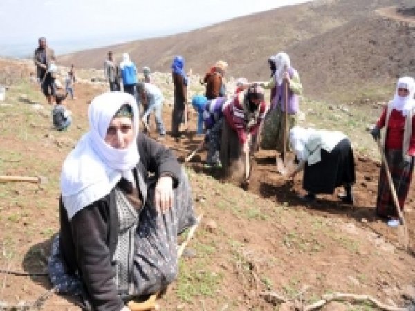 Köylüler Kazma-Kürek Yol Çalışmasına Başladı 