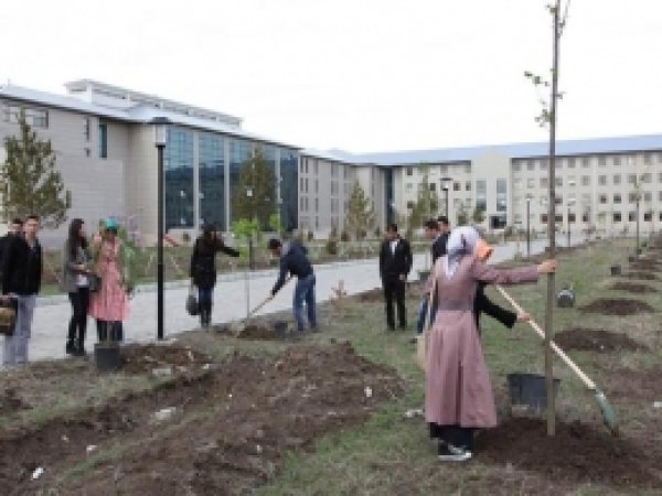 Üniversite Öğrencileri 60 Bin Adet Ağaç Dikti 
