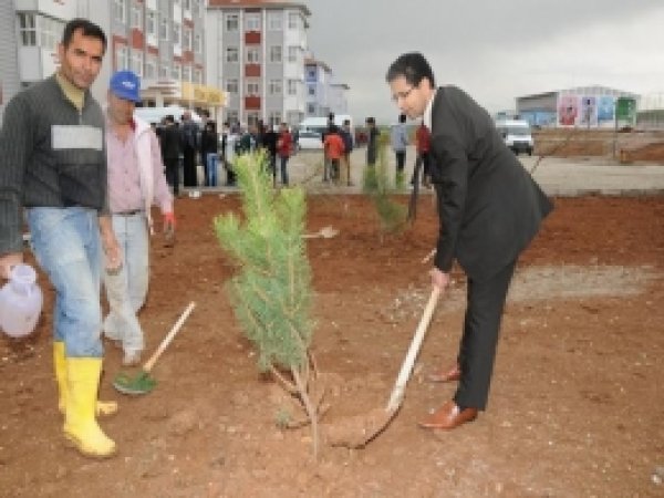 İnşaatı Tamamlanan Okulda Ağaçlandırma Çalışması Yapıldı 
