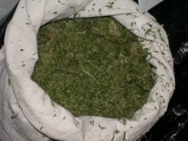 Batman'da 10 Kilo Esrar Ele Geçirildi 