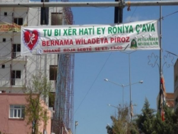 Çınar Kutlu Doğuma Hazır 