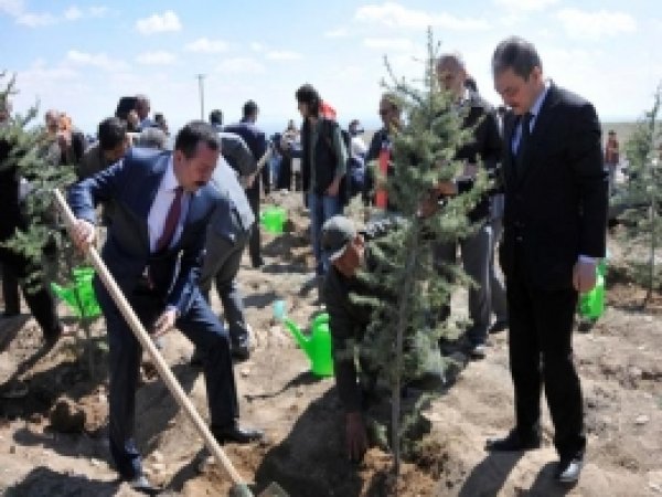 SÜ, Kuruluş Yıldönümünde Fidan Dikiyor 