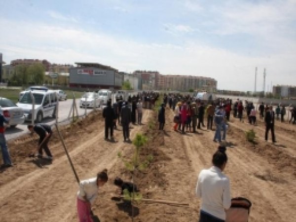Karatay'da 800 Ağaç Toprakla Buluştu 