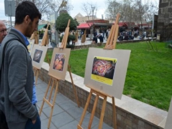İdam Kararlarını Protesto İçin Resim Sergisi Açtılar 