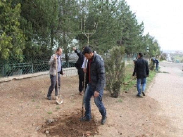 Bingöl'de Çevre Düzenlemesi Çalışmaları Başladı 