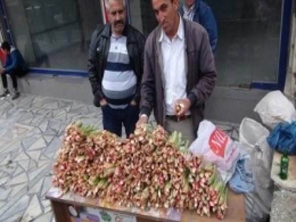 Yayla Muzu Tezgahlarda Yerini Aldı 