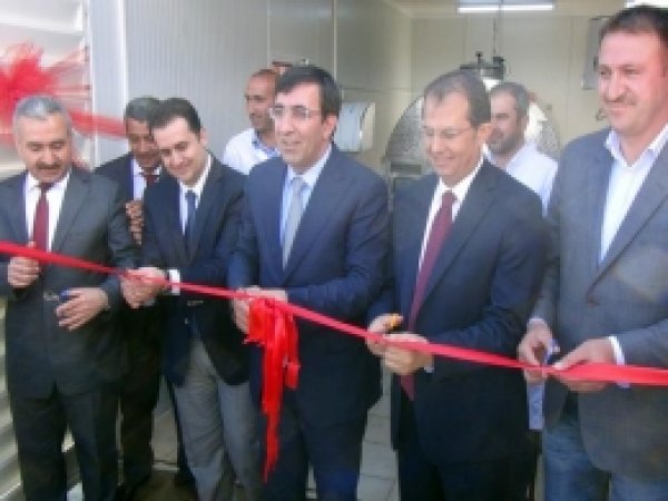 "Üretim Kültürünü Yaygınlaştırmamız Lazım" 