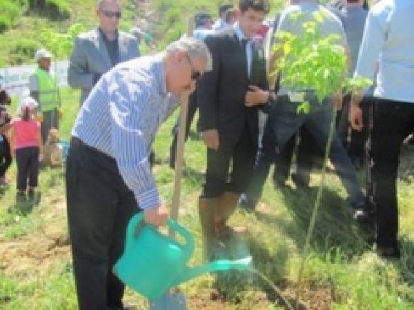 Seyhan Müftülüğü Kutlu Doğum Anısına Fidan Dikimi Yaptı 