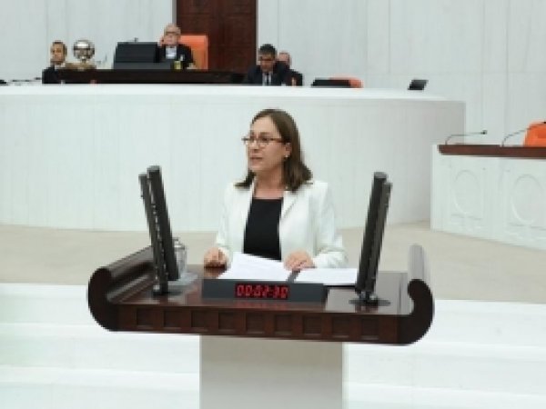 Kaleli'den TBMM'ye Zerrab Önergesi 