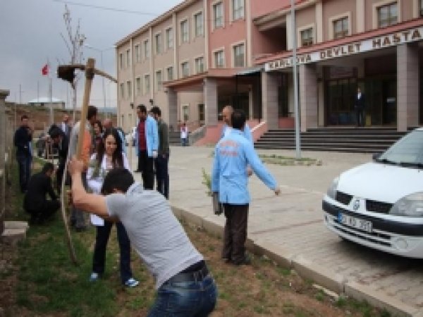 Karlıova Devlet Hastanesi Bahçesine Fidan Ekildi 