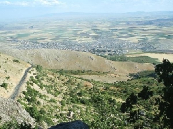 Makam Dağının Ağaçlandırması Tamamlandı 