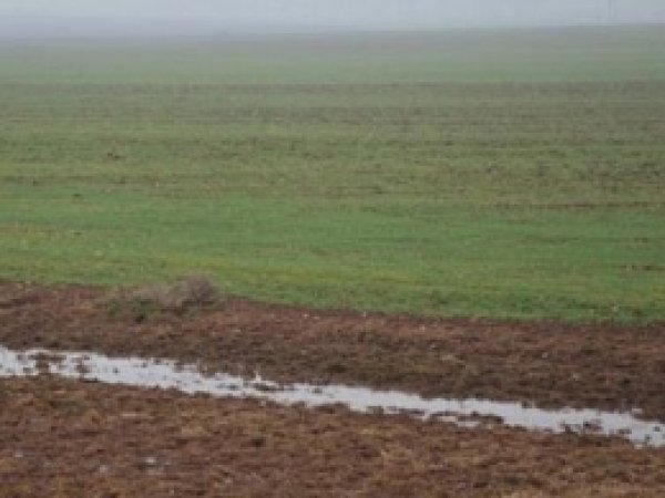Çiftçiyi Sevindiren Yağmur Vatandaşları Hazırlıksız Yakaladı