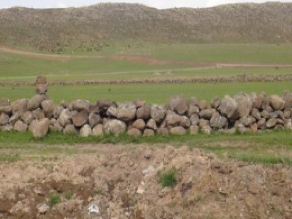 PKK,  BDP'ye Oy Vermeyen Hayvan Sahiplerini Tehdit Etti 