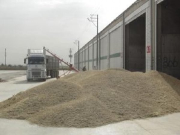 Kızıltepe'de Yılın İlk Arpa Hasadı Yapıldı 
