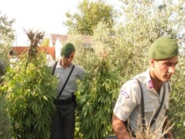Tarsus'ta Esrar ve Kaçak Sigara Baskını 