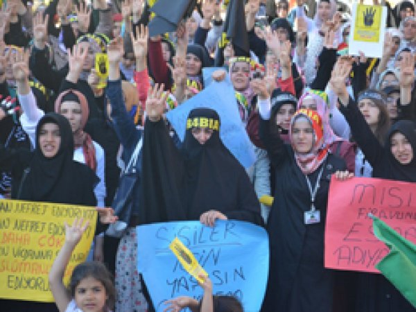 Adıyaman'dan 'Mısır Direnişine Destek' Mitingi