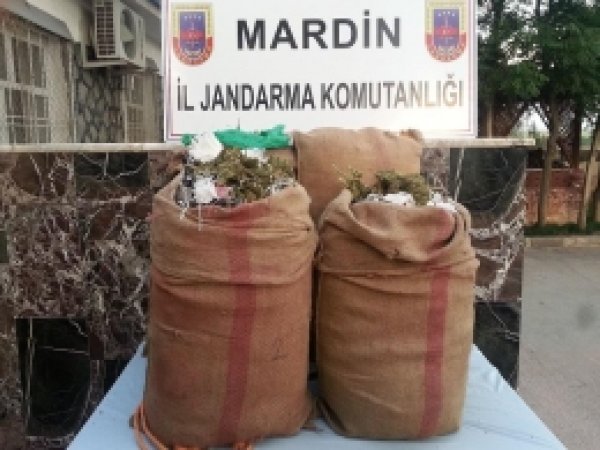 Mardin'de Kubar Esrar Ele Geçirildi 