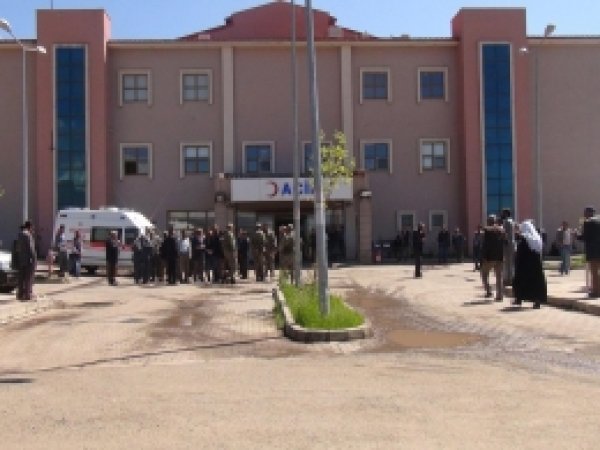 Kızgın İnek Sahibini Öldürdü 