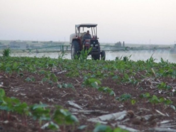 Kızıltepe Ovasında İlk İlaçlama Başladı 