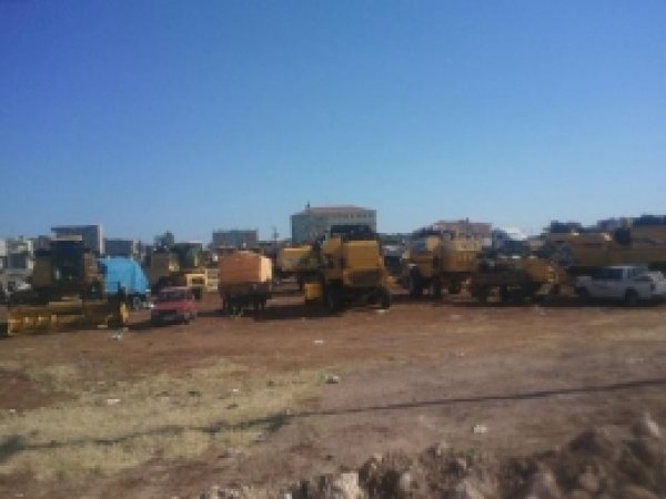 Viranşehir'de Hasat Zamanı Geldi 