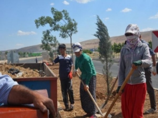Kadın İşçiler Akşama Kadar 25TL'ye Çalışıyor 