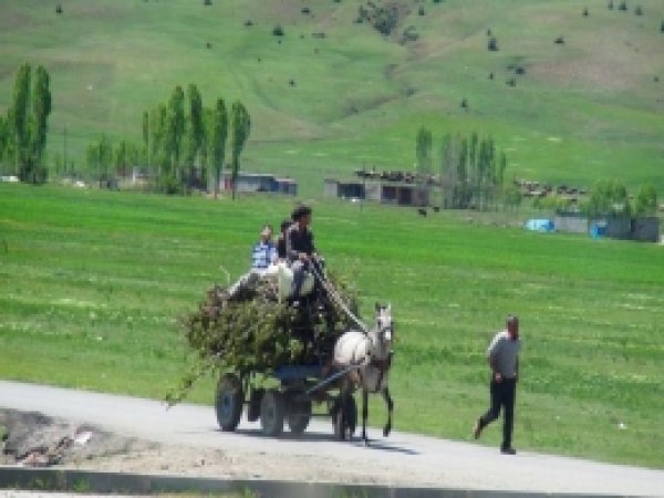 Mazottaki Zam Yükünü Atlar Taşıyor 