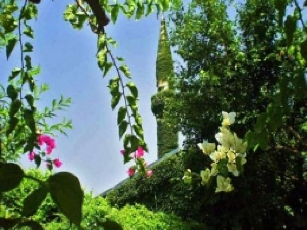 Yeşili ile Huzur Veren Cami 