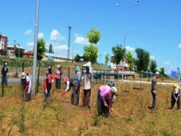Bu Kadınların Sosyal Güvenceleri Yok 