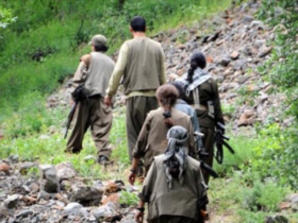 PKK İki İşçiyi Kaçırdı 