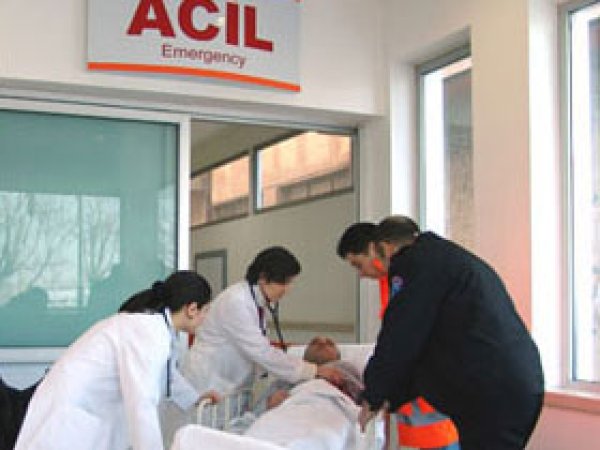 Ayı İçin Kurduğu Tuzağa Düştü