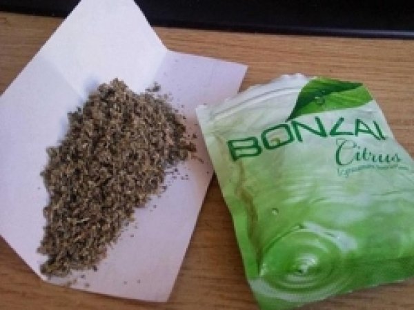 Yeşilay'dan 'Bonzai'  Uyarısı 
