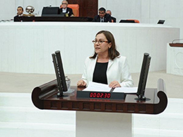 CHP'li Kaleli'den Hızlı Tren Uyarısı