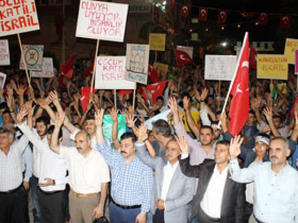 Yeşilli'de Gazze'ye Destek Mitingi 