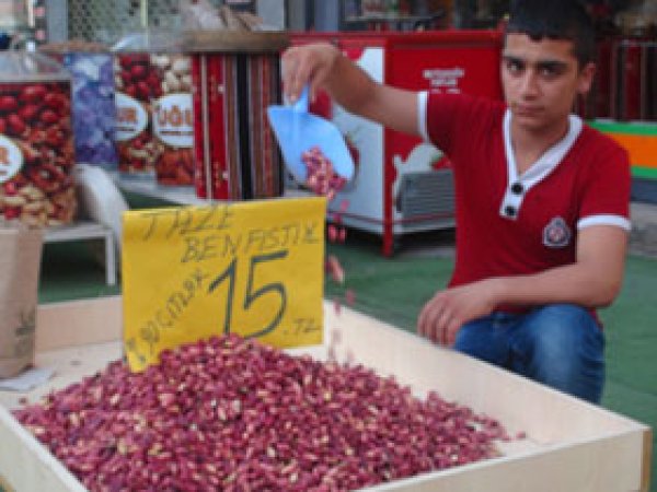 Antep Fıstığı Tezgâhlara Çıktı 