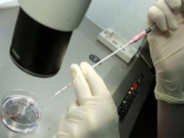 Ebola Salgını için Acil Durum Çağrısı 
