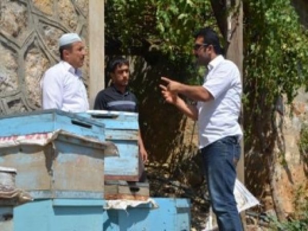 Arıcılar Teorik ve Pratik Eğitimi Görüyor 