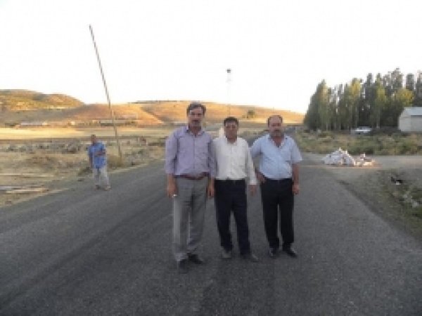 Hırsızlar 41 Büyükbaş Hayvanı  Çaldı 